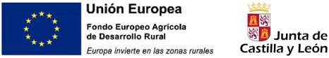 union-europea-cast-y-leon