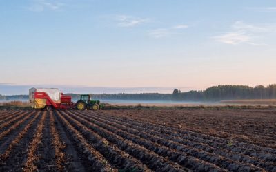 Grupo APEX cierra su Plan de Sostenibilidad 2020–2025 con avances sólidos y fija su hoja de ruta hacia 2030